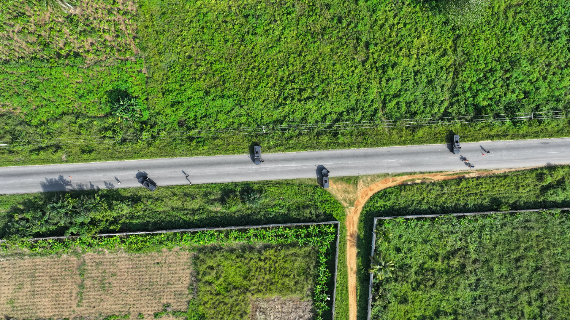 תמונה אווירית (1)