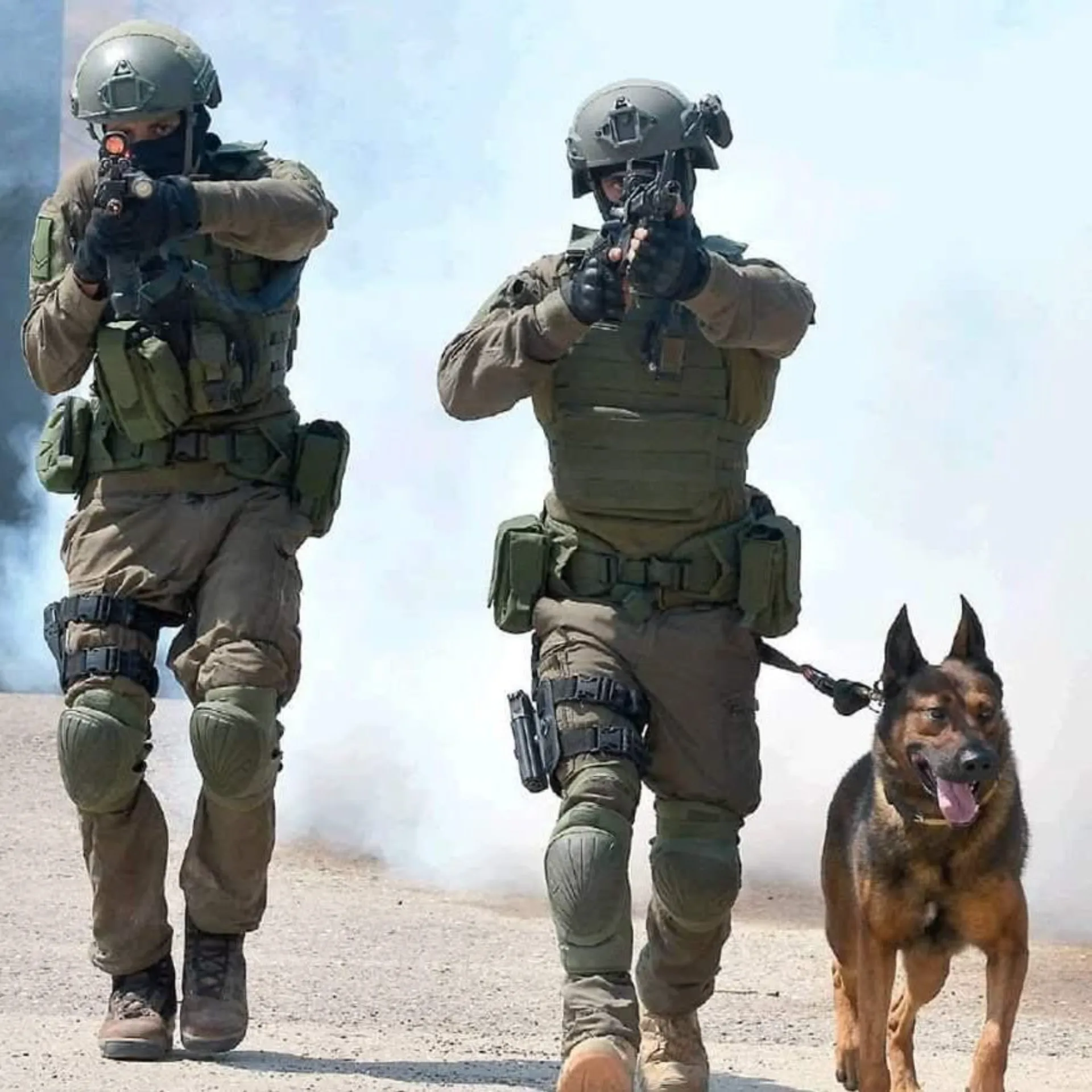 E84BB7C3-EB89-445B-97D1-AB785028F156